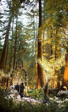 two people walking through the woods in front of tall trees and flowers with lights hanging from them