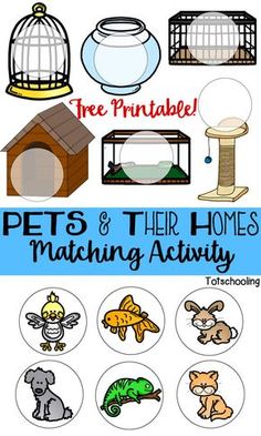 pets and their homes matching activity for kids to learn how to use the pet house