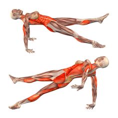 an image of a man doing the splits on his stomach and back muscles in three different positions