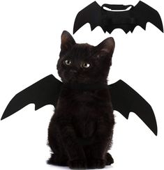 a black cat wearing a bat costume sitting next to a fake bat on a white background