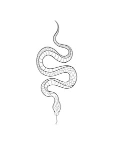 a black and white drawing of a snake