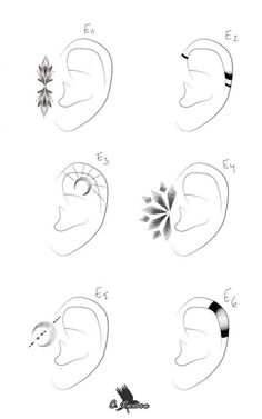 several different types of ear shapes are shown in this drawing technique, including the top one with