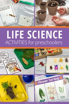 different activities for kids to learn life science