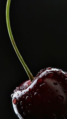 a close up of a cherry with water drops on it