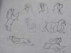 some drawings of dogs that are in different poses