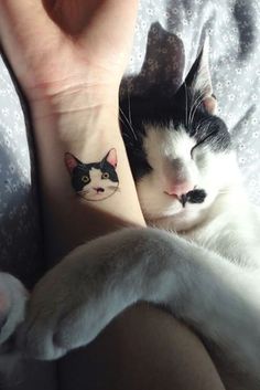 a person with a cat tattoo on their left wrist and the other hand behind them