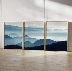 three framed pictures on the wall in an empty room with wood flooring and white walls