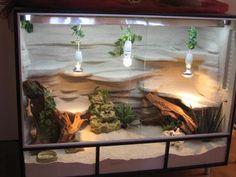 an aquarium with plants and rocks in it