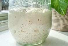 a glass filled with milk next to a potted plant on a window sill