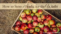 a crate full of apples sitting on top of hay with the words how to store apples for the winter