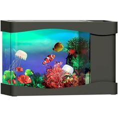 an aquarium filled with lots of different types of fish and sea animals in it's tank