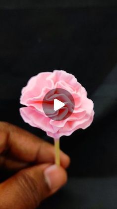 a person holding a pink flower in their hand