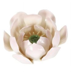 a pink flower with white petals and a green center on a white background, viewed from above