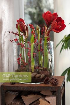 red flowers and greenery in a glass vase on a wooden table with pine cones