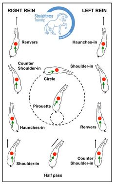 the diagram shows how to use an animal's body as a target for each other