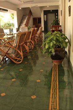 an indoor area with chairs and plants on the floor, in front of a staircase