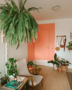 a living room filled with lots of plants and furniture