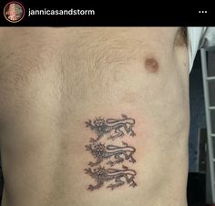 a man with a tattoo on his stomach that has an image of a lizard in it