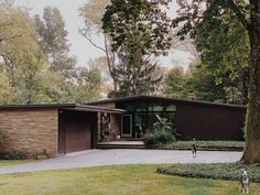 a dog is standing in front of a house with a large driveway and trees around it