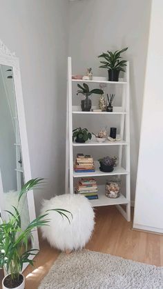 a white book shelf filled with books next to a mirror and potted plant on top of a wooden floor