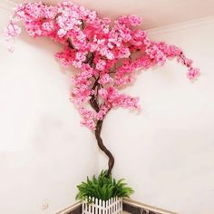 a potted plant sitting on top of a wooden table next to a white wall