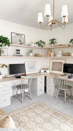 a home office with two computer desks and shelves on the wall above them, along with potted plants