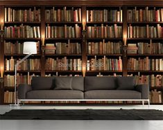 a couch in front of a book shelf with many books on the shelves behind it