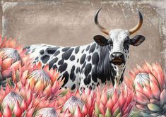 a black and white cow standing in front of red flowered plants with long horns