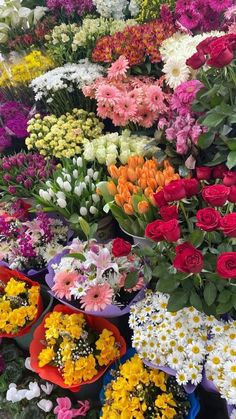 many different colored flowers in baskets on display