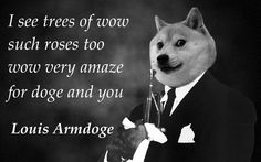 Wow Such Singer... Louis Armdoge I know it's stupid... But Doge cracks me up. The Meta Picture, Dog Died, Clean Memes, Grumpy Cat, Bones Funny