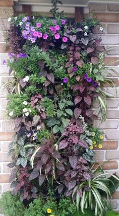 a very tall planter filled with lots of different types of flowers and plants growing up the side of a building