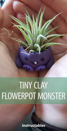 tiny clay flowerpot monster in someone's hand with text overlay that reads tiny clay flowerpot monster