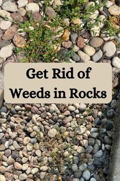 the words get rid of weeds in rocks are overlaid by small rocks and grass