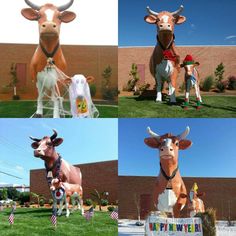 four pictures of statues of cows in front of a building with people standing around them