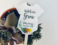 there is a sign that says watch me grow on a stick next to a succulent plant