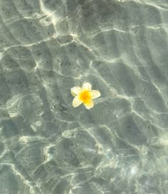 a yellow flower floating on top of the water in some shallow, crystal clear water