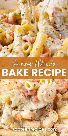 shrimp alfredo bake recipe with pasta and cheese