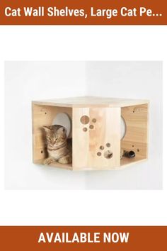 cat wall shelves, large cat pe available now