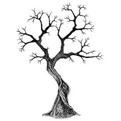 a drawing of a tree with no leaves