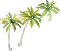 three palm trees with green leaves are shown in this watercolor painting on white paper