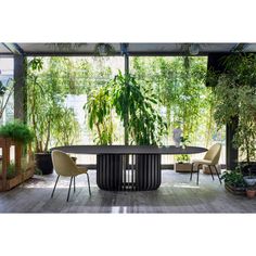 a dining table surrounded by potted plants in a room with wooden floors and walls