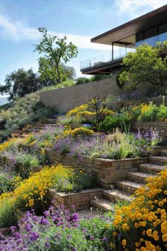 a hillside garden with flowers and plants growing on it