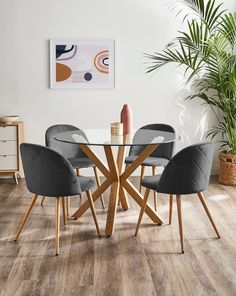 a glass table with four chairs and a plant in the corner next to it on a hard wood floor