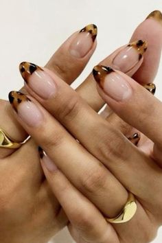 Tortoise Nails French, Gold Leo Nails, Conference Nails, French Tip Nails Leopard, Tiger French Nails, Espresso Nails, Lepord Print Nail French Tip, Leo Nails, Nails Leopard