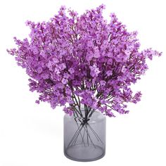 purple flowers in a clear vase on a white background