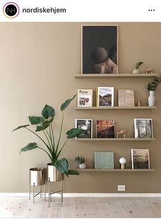 there are three shelves on the wall with pictures and plants next to each other in front of them