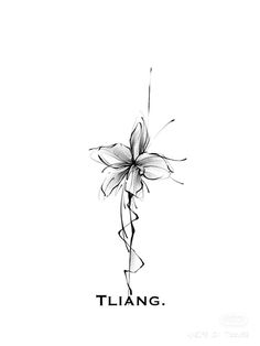 a black and white drawing of a flower with the word'tilang'written below it