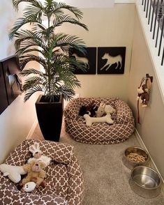 two dogs are sleeping in their beds on the floor next to a potted plant