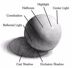 an image of the structure of a ball