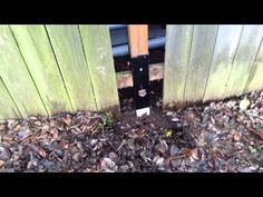 there is a black pipe sticking out of the ground in front of a wooden fence